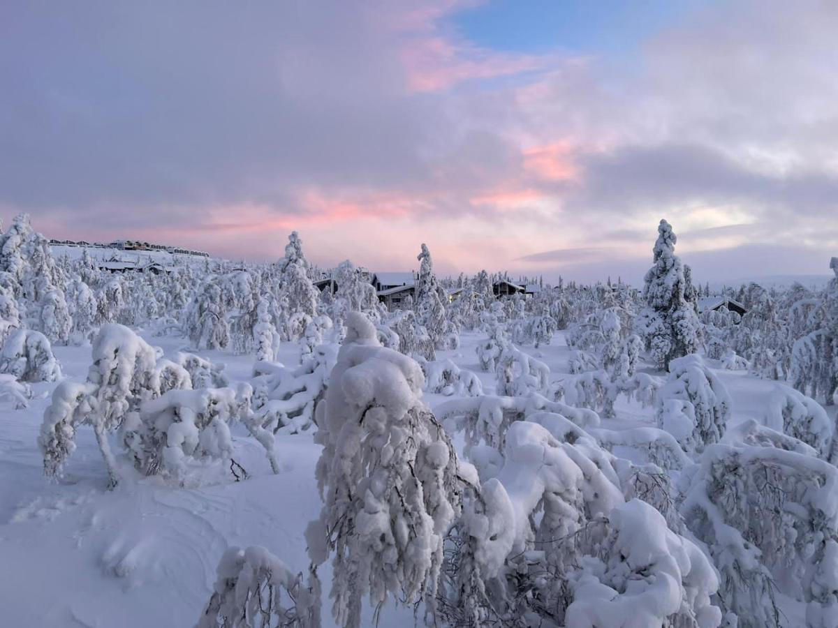 Villa Haukka Саариселькя Экстерьер фото